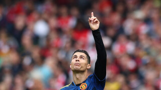 Феновете на 