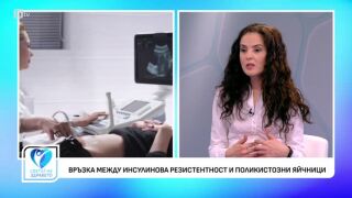 Снимка Връзка между инсулинова резистентност и поликистозни яйчници        