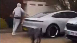 Куче подгони звезда на Уест Хем преди тренировка (ВИДЕО)