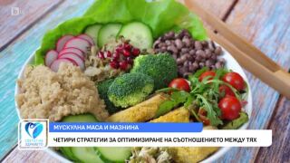Снимка Четири стратегии за оптимизиране на съотношението между мазнините и чистата мускулна маса   