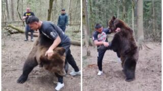 ММА боец ​​в жесток клинч с мечка (ВИДЕО+СНИМКА)