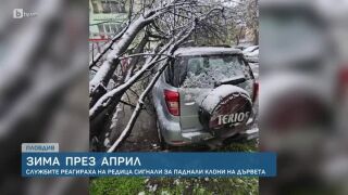 Снегът идва! Първи снежинки над Петрохан и още места в България 