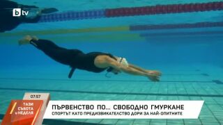 Снимка: Първенство по свободно гмуркане