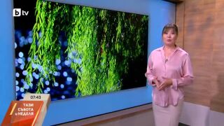 Снимка: Времето в събота - краткотрайни валежи