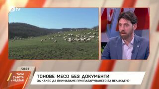 Снимка: Тонове месо без документи