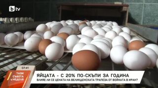 Снимка: Яйцата - с 20% по-скъпи за година