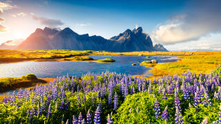 Спечели 43 000 евро и екскурзия до Исландия - търси се най-лошият фотограф