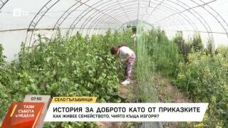 Снимка: Как живее семейството от Гълъбинци, останало без дом?