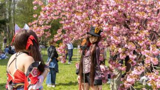 Японско "съкровище" в Букурещ - цял свят се втурна натам! (СНИМКИ)