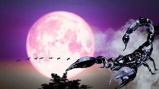 Цветна Луна в Скорпион на 1 май: Всичко излиза наяве! 