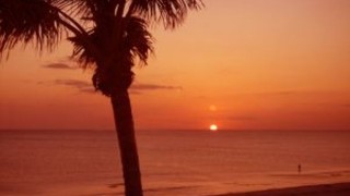 Тропически болести 