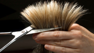 Цъфтящи краища? Никога повече