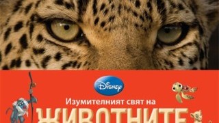 Опознайте „Изумителният свят на животните”