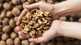 Шепа орехи на ден гарантират добър сън