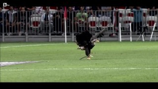 Стадионът на 