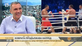 Какви са шансовете на Кубрат Пулев срещу световния шампион Антъни Джошуа?