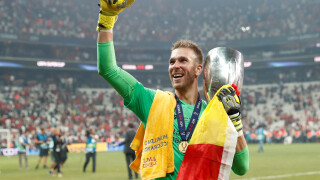 Феновете на 