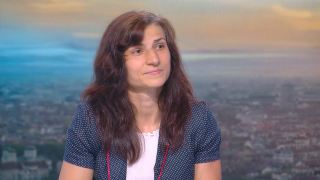 Стойка Кръстева: Непрестанните 