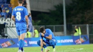 Делегат на УЕФА: 