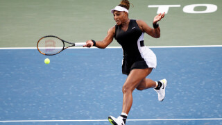 Серина пада на нула, Гришо гледа