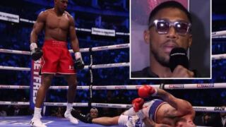 Освирканият Джошуа: Тези дали някога са слагали ръкавици? (ВИДЕО)