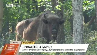 Снимка: Христо Христов иска да върне европейски бизони по нашите земи