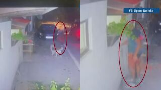 Снимка: Мъж уби с бухалка кучето на съседката си пред очите ѝ, охранителни кадри заснеха зверството