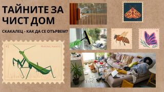 Ето как да се отървем от скакалците в градината 