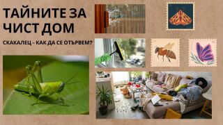Скакалци в градината - как да се отървем 