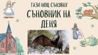 Съновник: Какво означава да сънувате прилеп