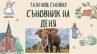 Съновник: Какво означава да сънувате слон