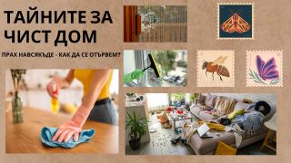 Прах у дома - ето как да се отървем