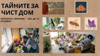 Неприятна миризма у дома - ето как да се отървем
