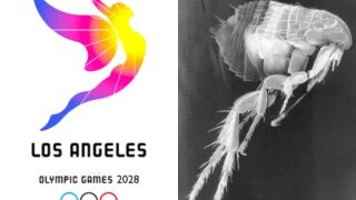 Олимпийските игри и световното под заплаха от чума? Ще въведат ли ваксини?