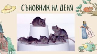 Съновник: Какво означава да сънувате мишка