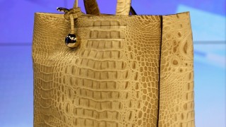 Гласуването за чантата продължава днес - 16.12, до полунощ