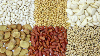 Фибрите:полезни, но не съвсем