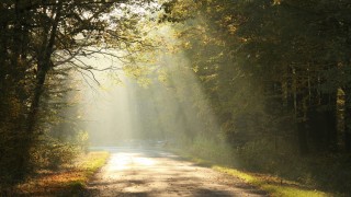 Рецепти за дълголетие