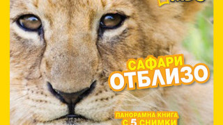 Книгите отблизо