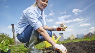 Мисъл на деня от Хенрик Ибсен