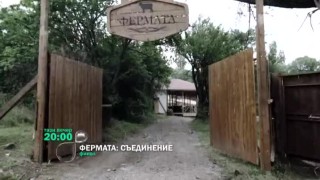 Гледайте разтърсващия финал на 
