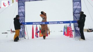 Смелчаци и динозавър в Ледения маратон на Антарктика (ВИДЕО)