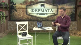 Влезте в битката за Фермата онлайн с 360˚ LIVE