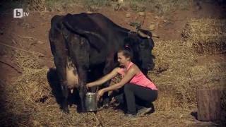 Една срещу друга в битката 