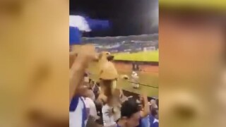 Когато мачът е важен, но трябва да наглеждаш кучето (ВИДЕО)