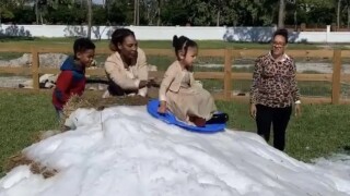 Как в топлия дом на Серина Уилямс натрупа... сняг? (ВИДЕО)