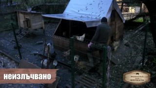 Животът зад Фермата. Епизод 39: Пламен подготвя експертиза за случилото се с кокошката