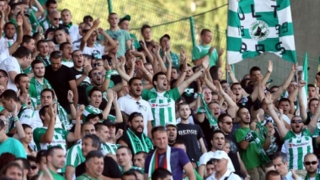 Феновете на 