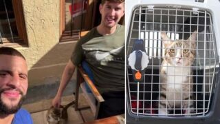 Англичаните се прибират без купа, но с... котарак (ВИДЕО)