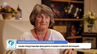 Снимка Какво представлява фасцията и каква е нейната функция?       